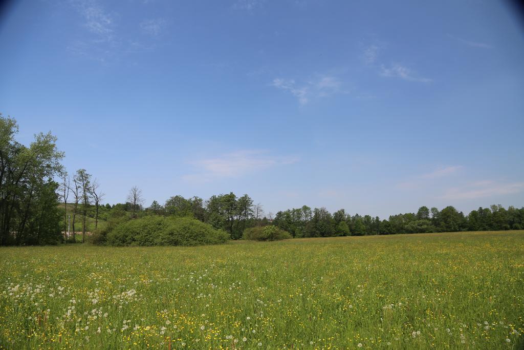 Gospodarstwo Agroturystyczne Stary Mlyn Wilczkowice Michalowice  Exterior photo
